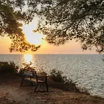 Pinereef Blue * Σκάλα Ραχωνίου