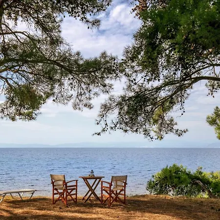 Prázdninový dům Pinereef Blue