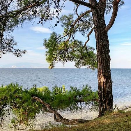 Сasa de vacaciones Pinereef Blue Skala Rachoni (Thasos)