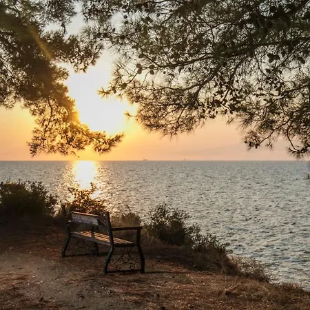 Pinereef Blue * Szkála Rahoníu