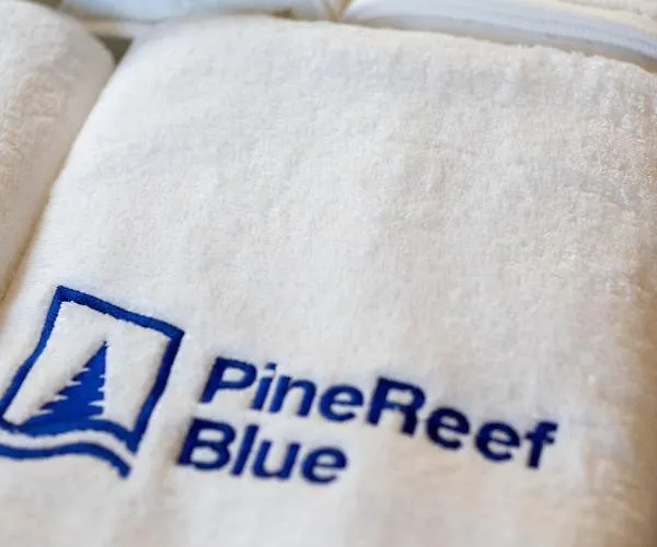 Pinereef Blue Tatil Evi Skala Rachoni (Thasos)