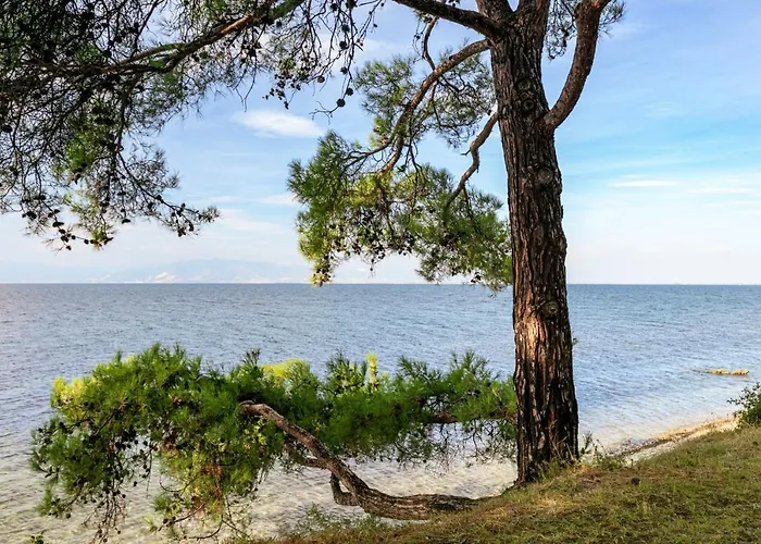 Tatil Evi Pinereef Blue Skala Rachoni (Thasos)