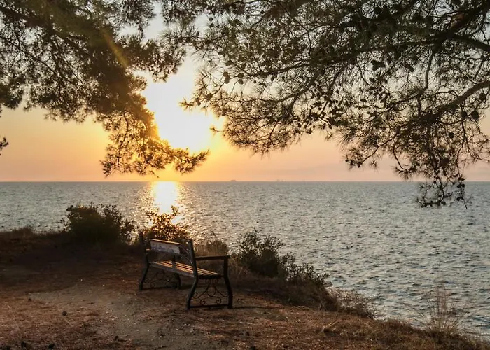 Pinereef Blue * Skala Rachoni (Thasos)